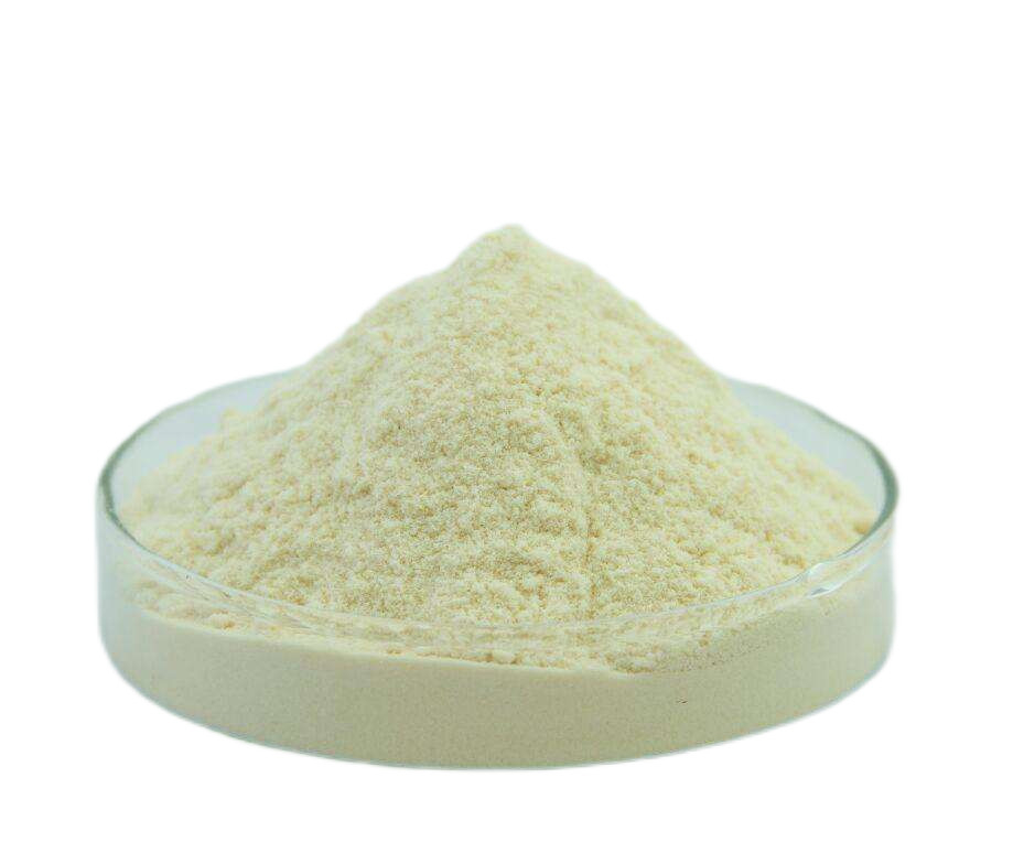 PSD 0,6-1,0 μm Cerium-oxide polijstpoeder micron voor optisch glas
